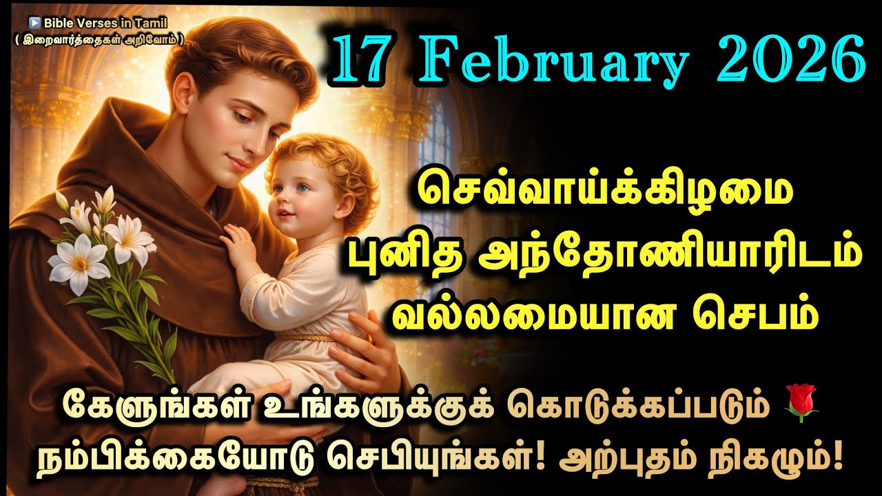 17 February | செவ்வாய் | புனித அந்தோணியார் வல்லமைமிக்க செபம் | கேளுங்கள் உங்களுக்கு கொடுக்கப்படும் 🌹