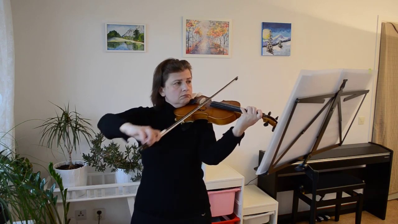 Practicing Bach Violin Concerto 1 Slowly - Adult Beginner