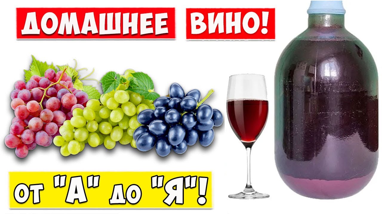 ВИНО из Винограда / Простой РЕЦЕПТ / Домашнее Вино / Wine!