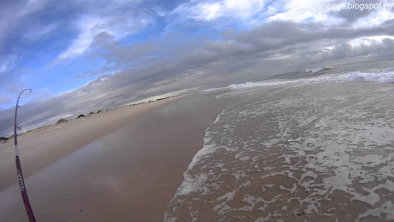 Surfcasting Sargos
