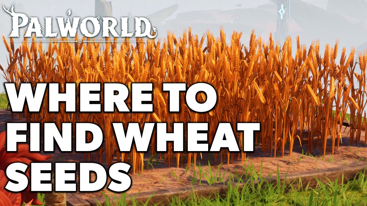 How to find Wheat Seeds in Palworld (The Best Method)