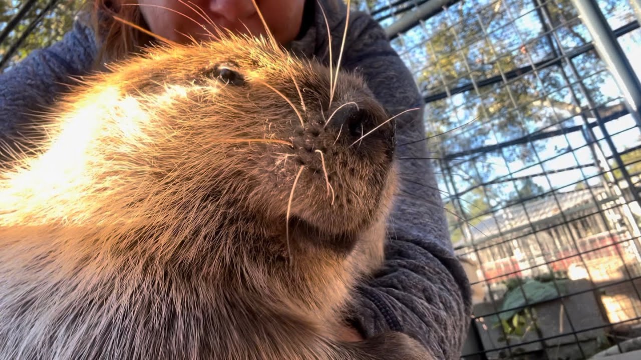 So warm and fluffy