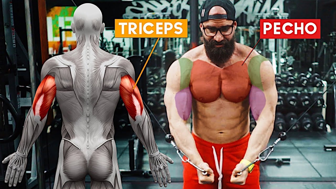 Esta rutina de Pecho y Triceps te destrozara!