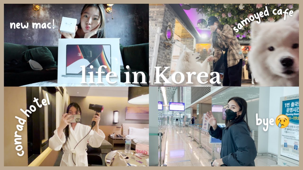 a week in my life in korea 🇰🇷 conrad hotel, samoyed cafe, new macbook pro unboxing