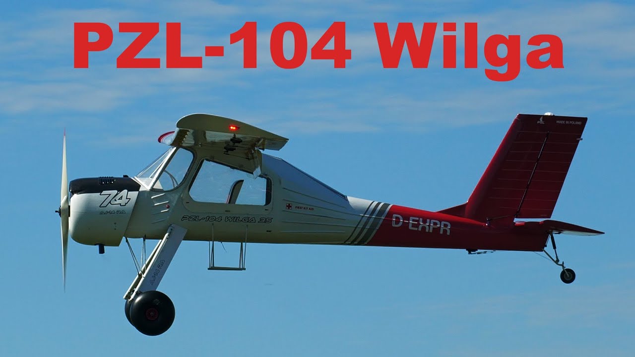 PZL-104 Wilga BADAN | giant scale RC airplane | 4K | Holesov 2021