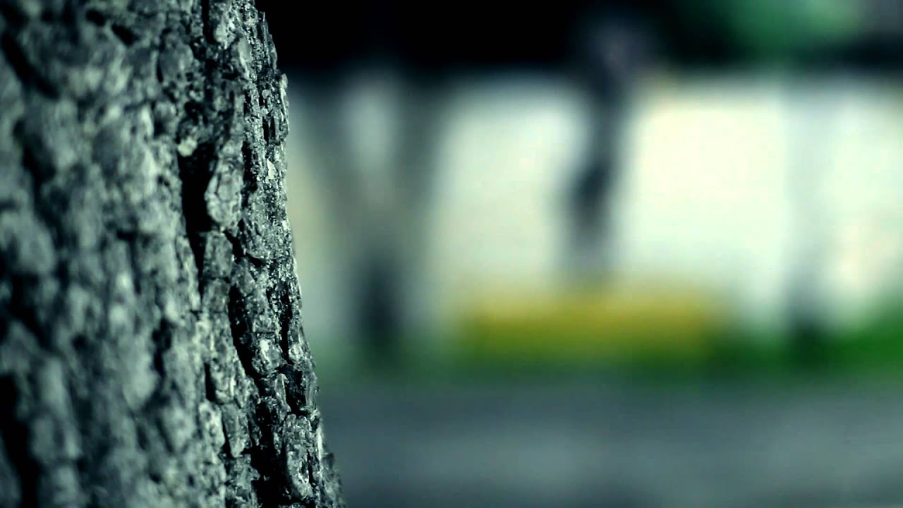 Night training | Canon 600d test, sigma 50mm