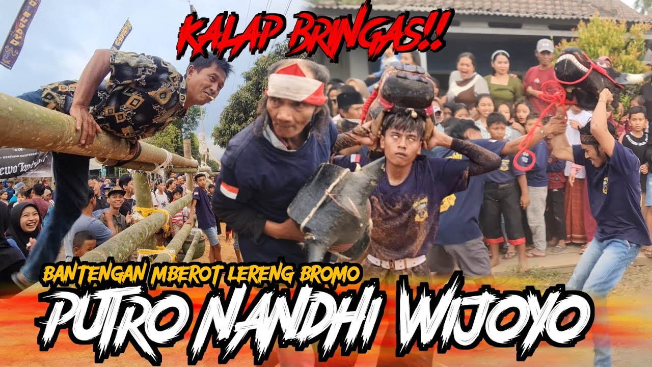 HOROR!! Bantengan PUTRO NANDHI WIJOYO!! amukan demit lereng semeru kalap obrak abrik kalangan!