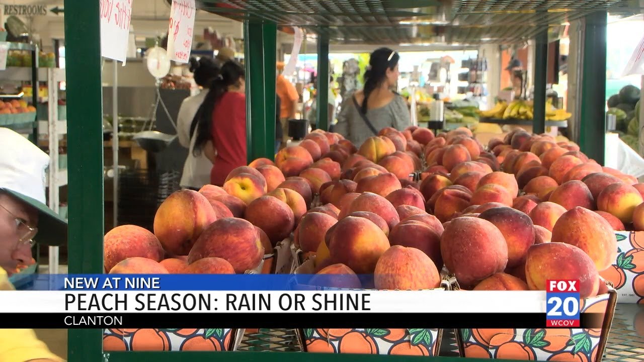 Why Clanton's peach season is a summer must for Central Alabama
