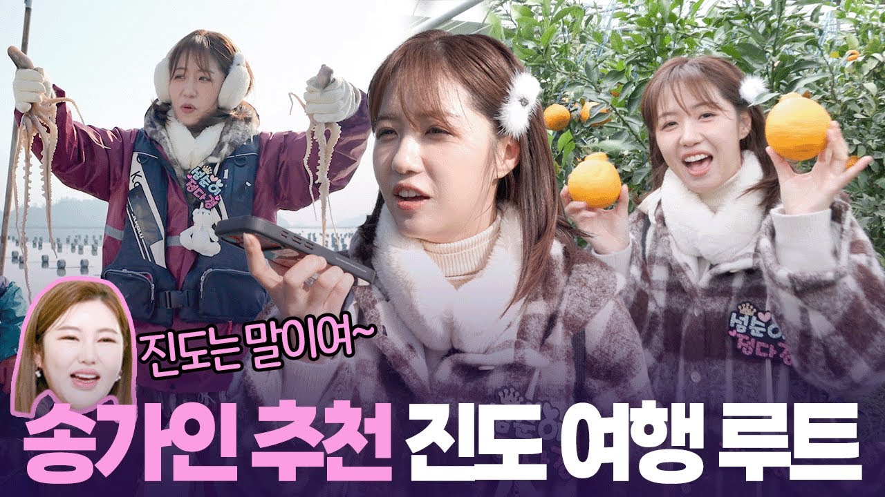 낙지 잡고 황금봉 따고 🍊진도 여신 송가인 추천 대로 여행 나선 다경 공주  [6시 내고향] | KBS 260123 방송