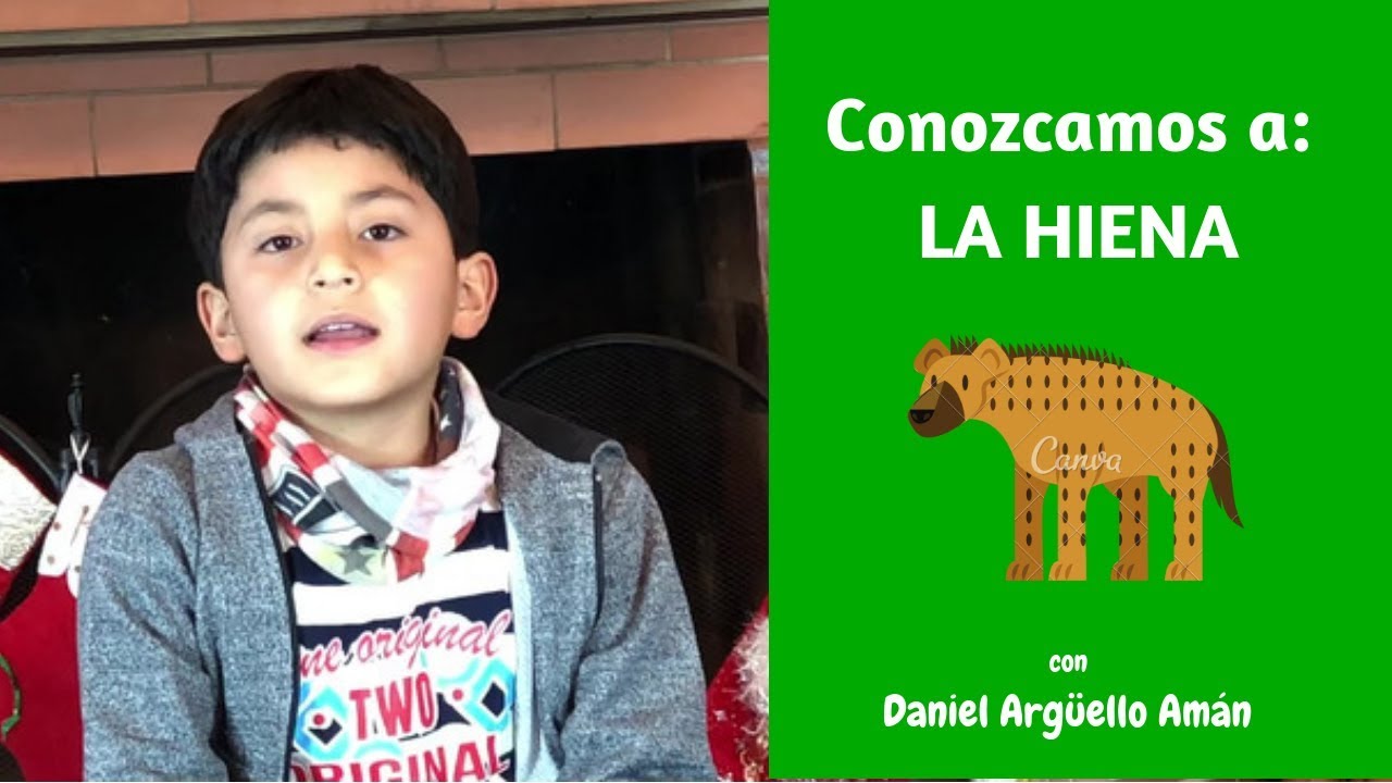 22. La Hiena| Vida de animales para niños