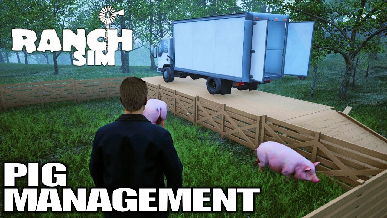 Pig Management Made Easy | Ranch Simulator Gameplay | E11