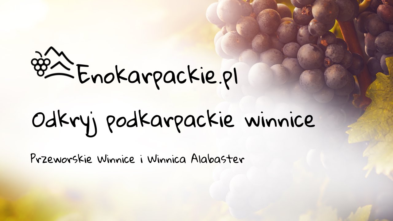 Wino i historia na wschodzie regionu 🌿 Winnice okolic Przeworska | EnoKarpackie #2