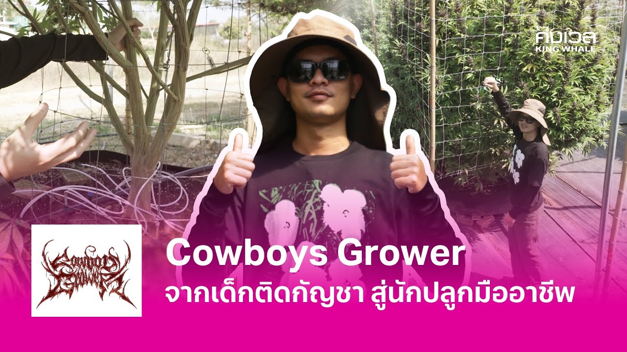 Cowboys Grower | เมื่อความหลงใหล พาสู่โลกของนักปลูกมืออาชีพ