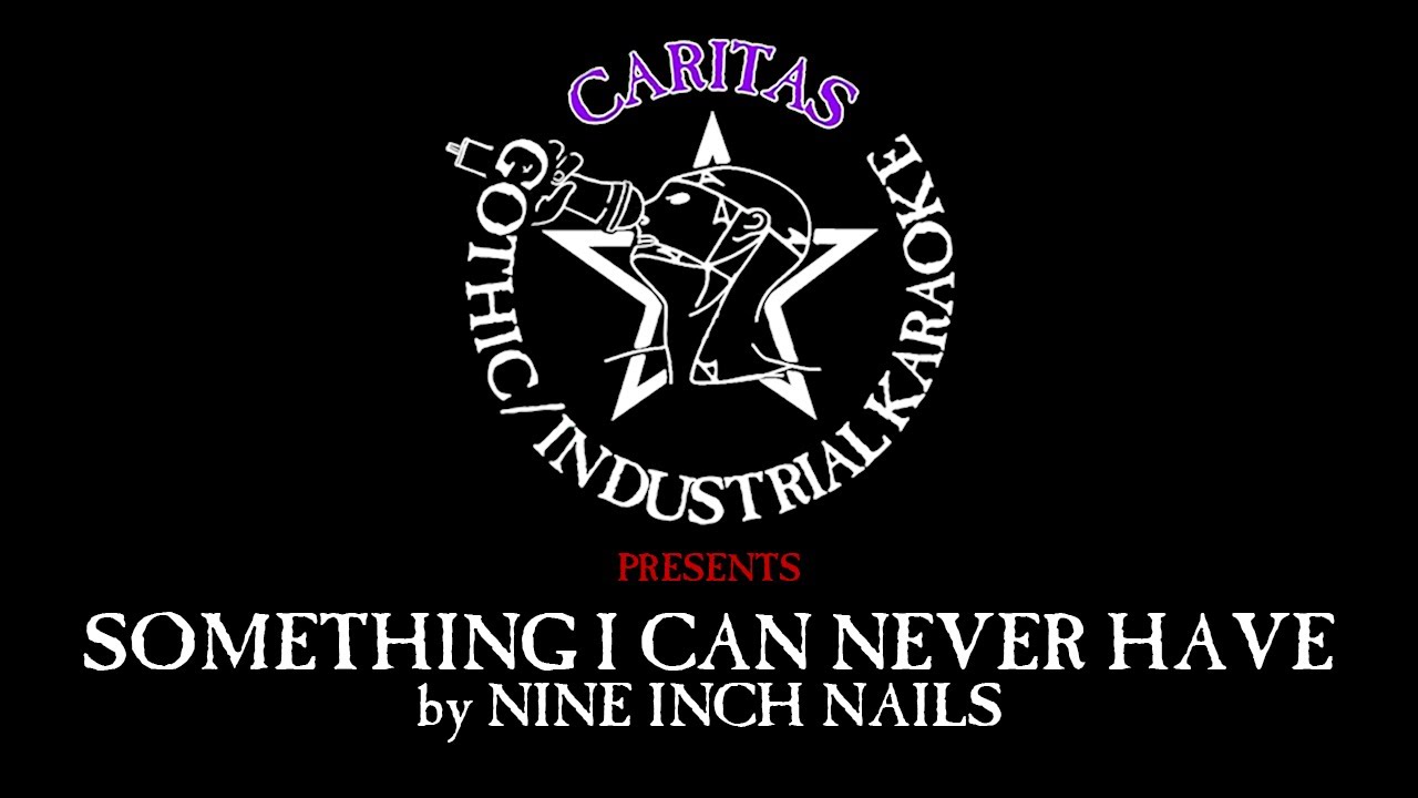 Nine Inch Nails - Something I Can Never Have - Karaoke w. lyrics - Caritas