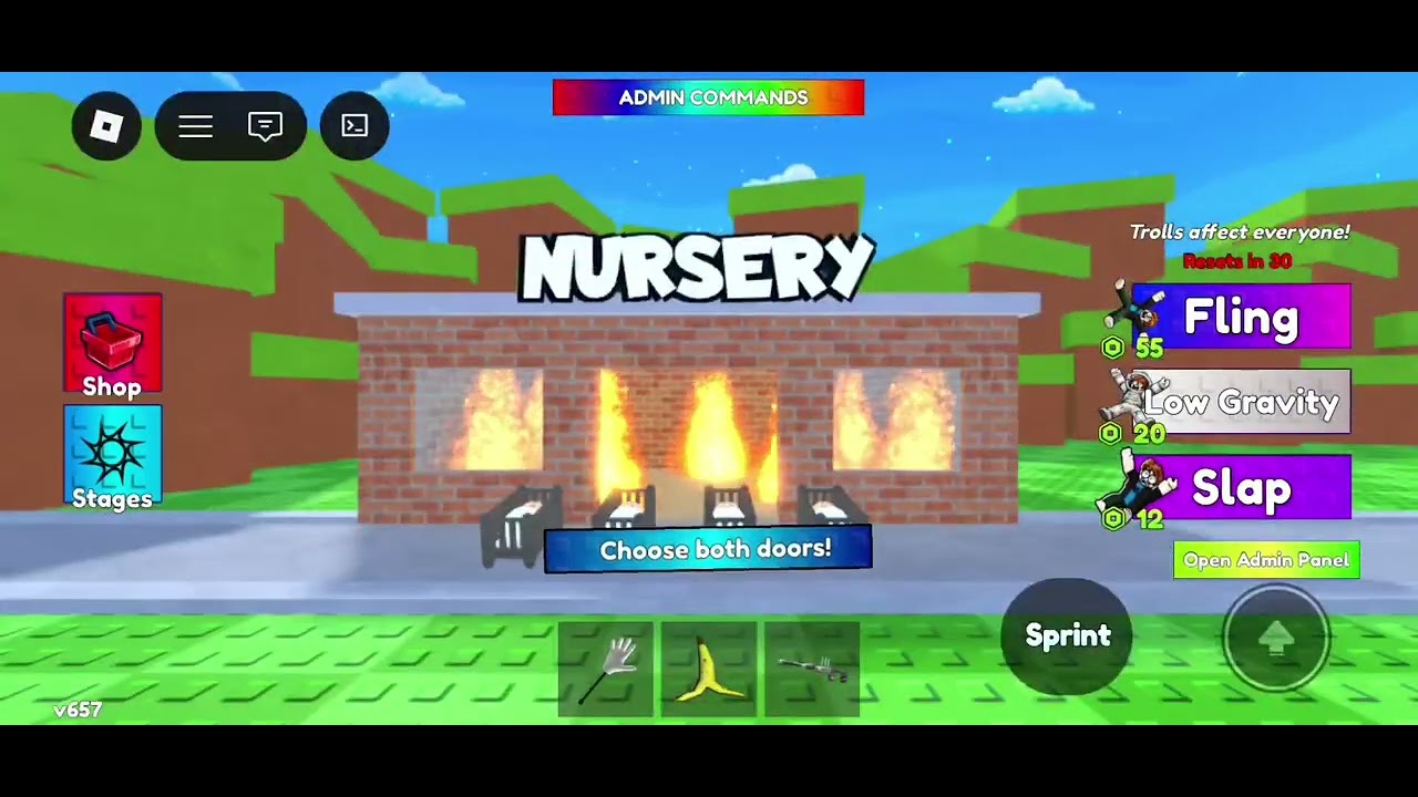 Felix_tiger and me playing the 67 or family like & sub
