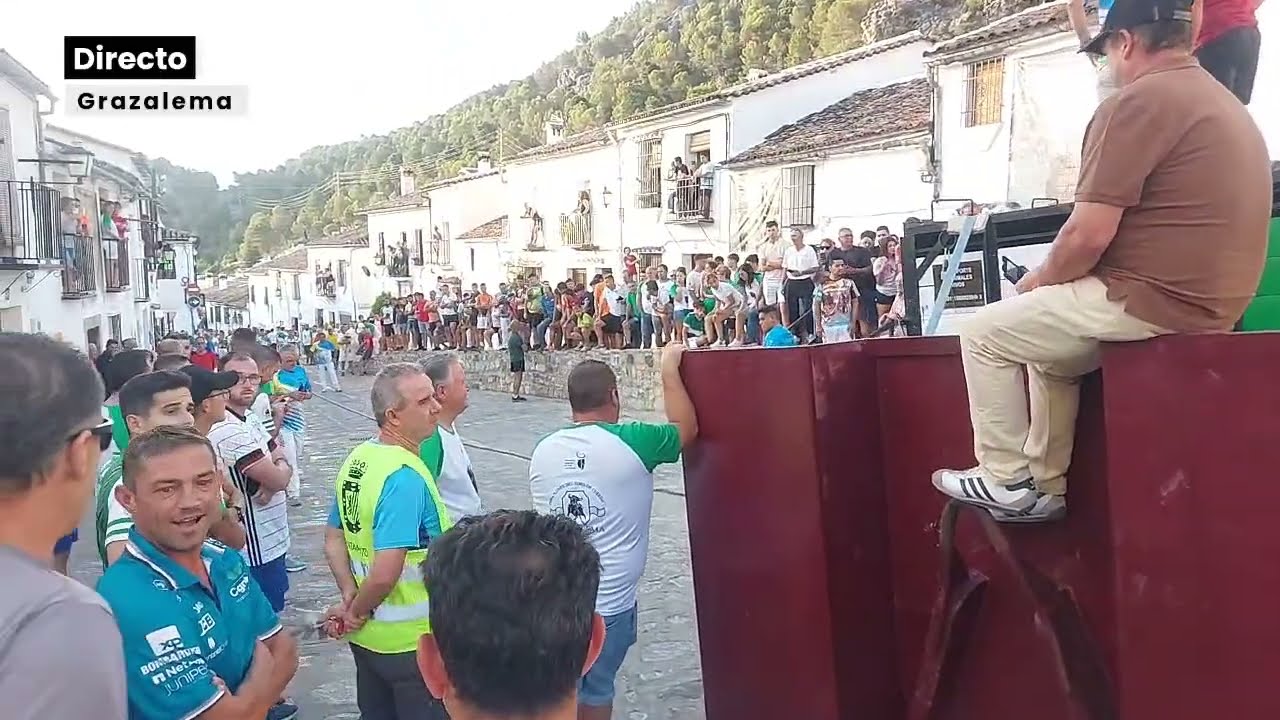 Lunes del Toro de Cuerda de Grazalema 2023 en Directo [1]: Encierro y traslado