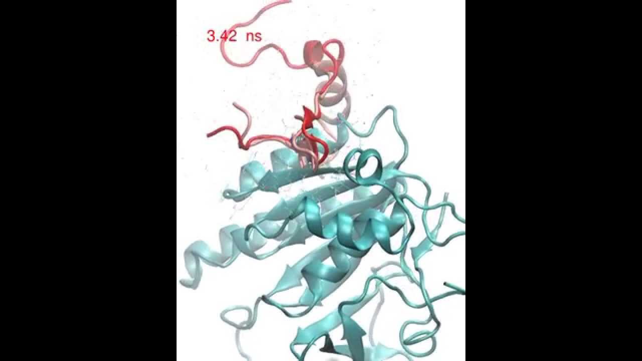 Molecular docking of RAD51-BRCA2 BRC repeat complex