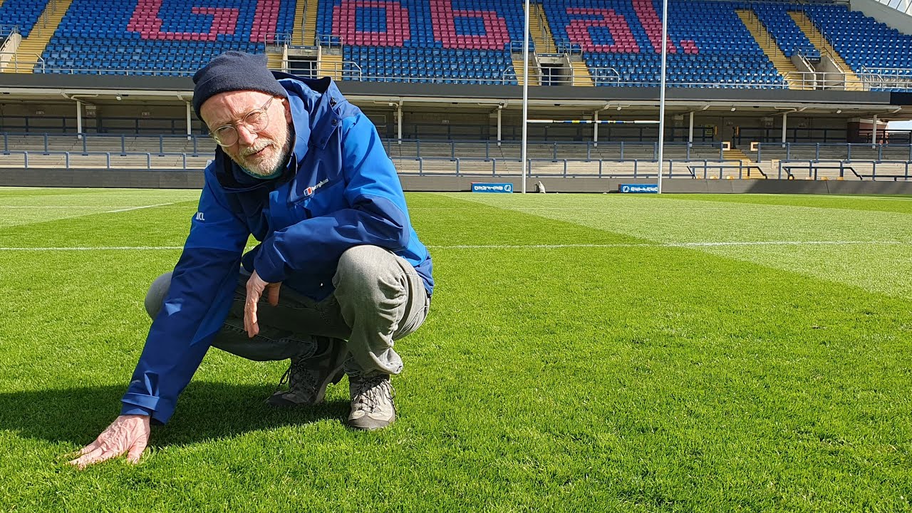 Sports pitch renovation | Seed choice