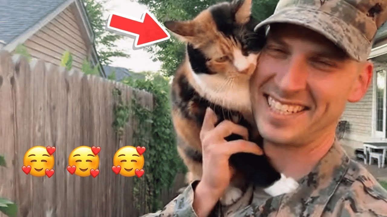 What Happens When a Soldier Dad Finally Comes Home and His Cat Sees Him? 😻