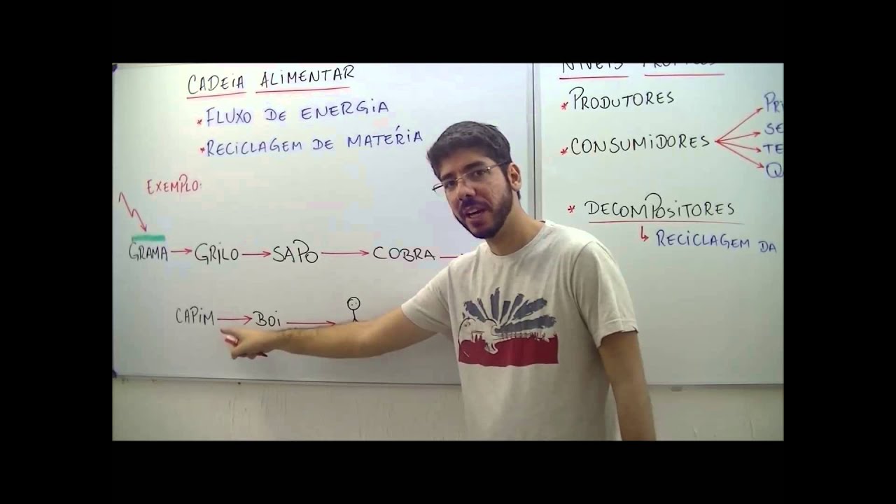 AULA BIOLOGIA  FUNDAMENTOS DE ECOLOGIA - ABR 13 - PROF. FELIPE JARDIM