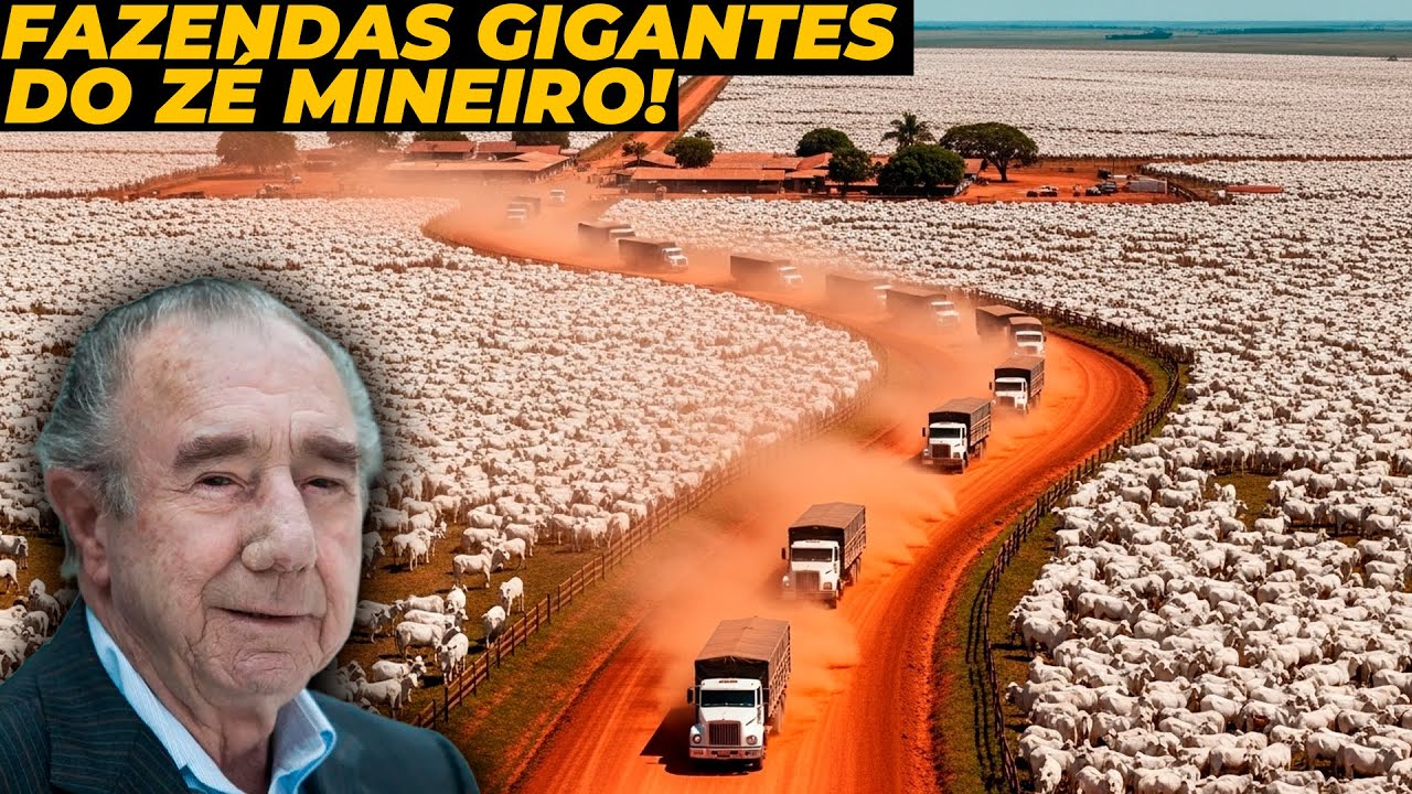 CONHEÇA TODO IMPÉRIO RURAL DO DONO DA JBS - Zé Mineiro!