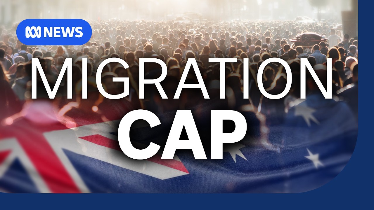 As pressure mounts for migration cuts, business leaders warn on economic cost | The Business