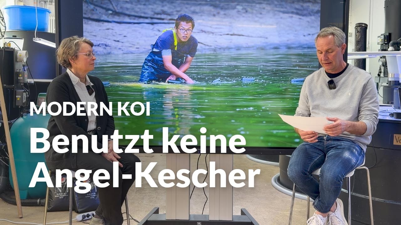Kann ein getrockneter Kescher KHV &uuml;bertragen? | Modern Koi Blog #8028