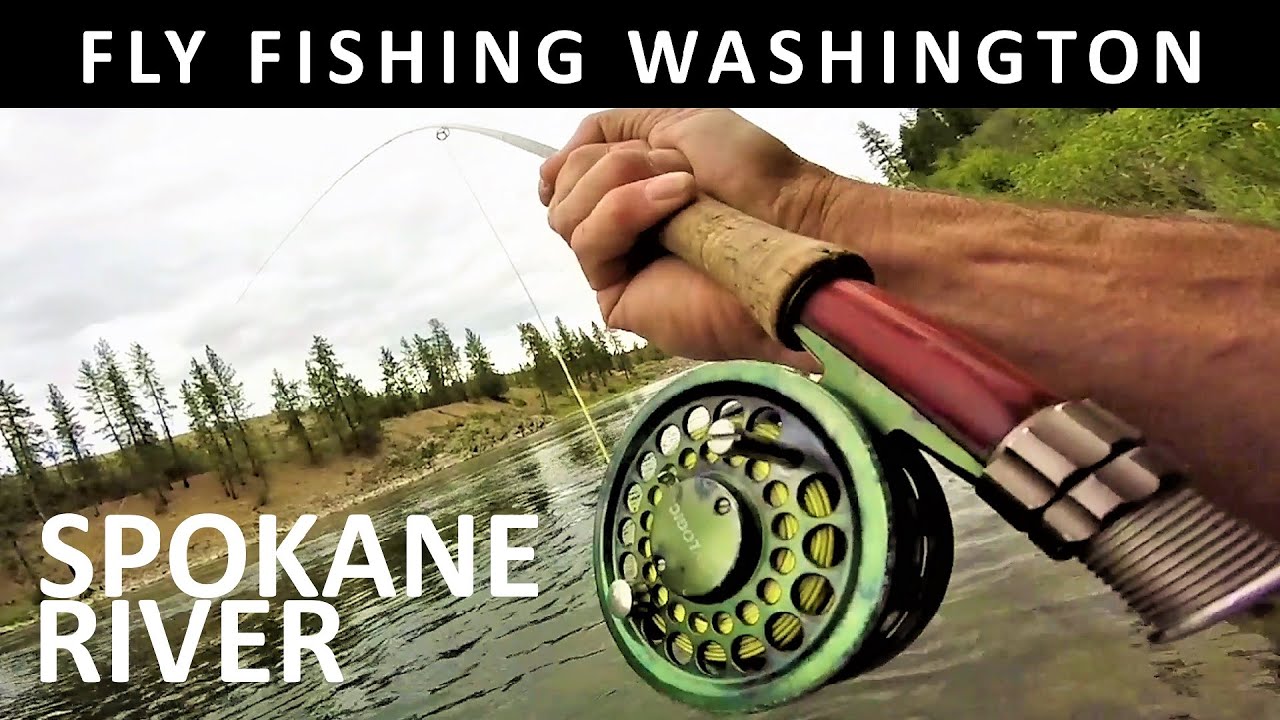 Fly Fishing Washington States Spokane River Below Town in May-Trailer for Prime Video [Episode #99]