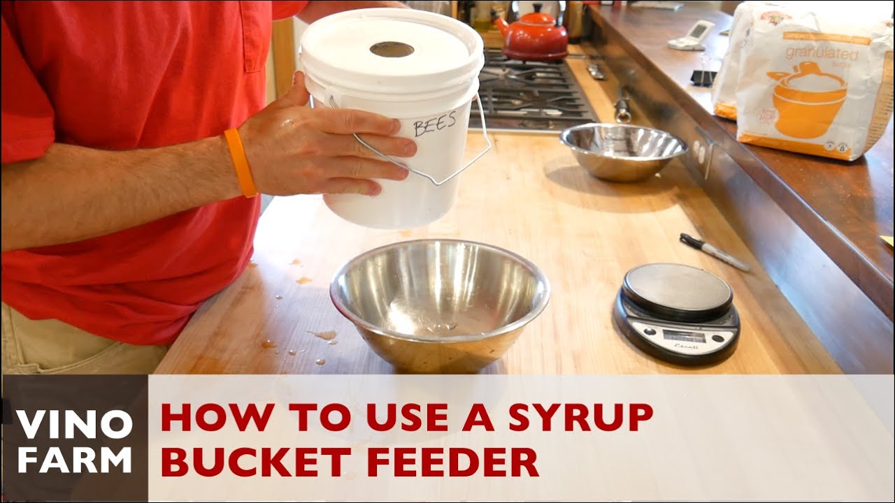Feed Bees with a Pail / Bucket Feeder (+ How I Mix Syrup)