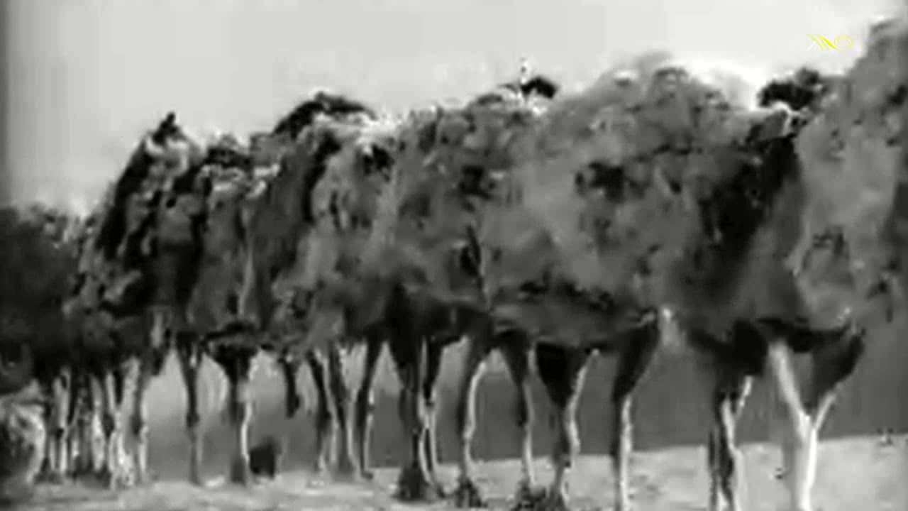 Джаз-оркестр п/у Эдди Рознера - Караван
