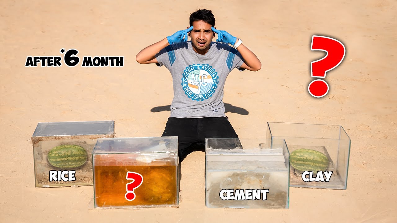 Watermelons After 6 Months - तरबूज का क्या हुआ ? | Part-2