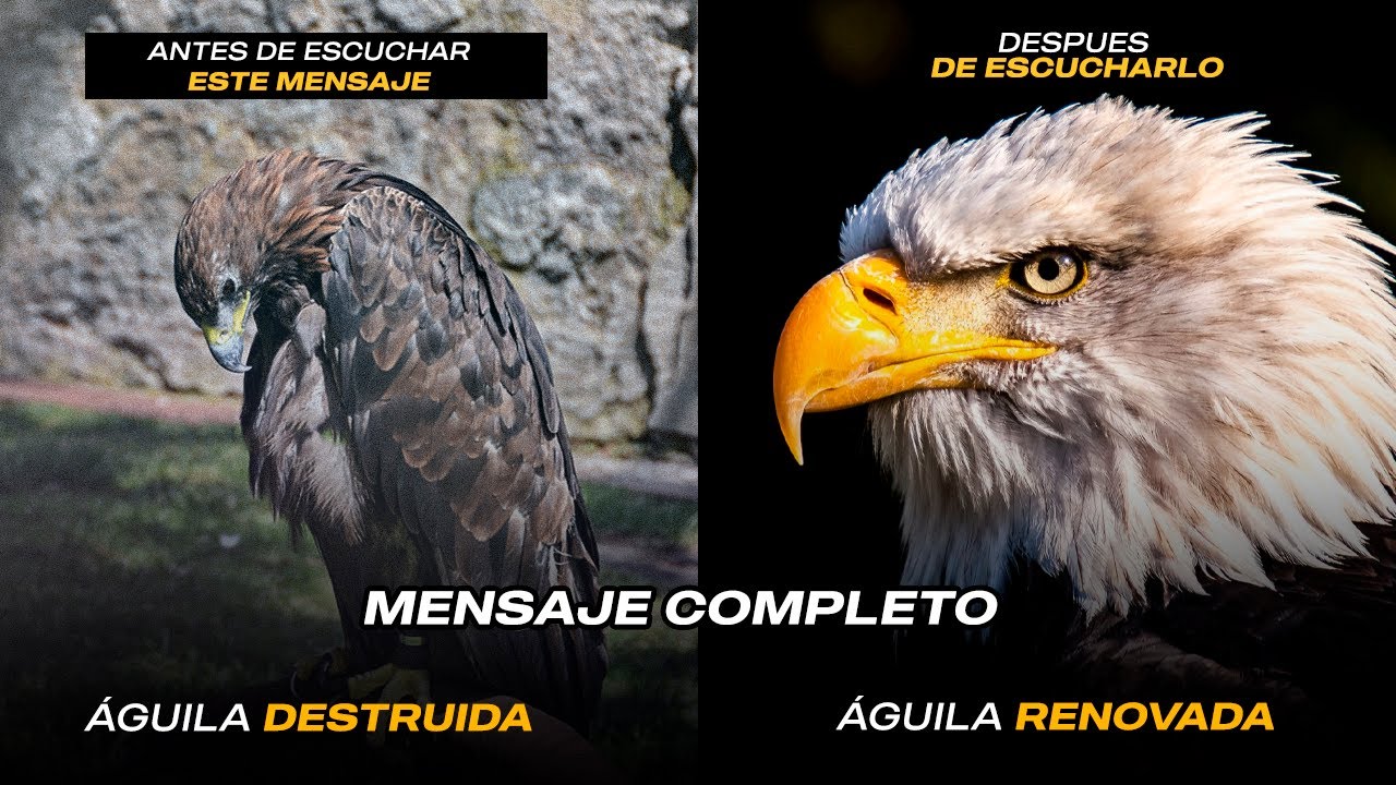 SE CAYO UN AGUILA - MENSAJE COMPLETO - EVANGELISTA DAVID BIERD