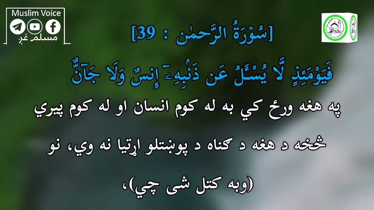 د [#سُوۡرَةُ الرَّحمٰن ] دا#ښکلی #تلاوت  واورئ.#تلاوت قاري #محمد #فاروق صابر#مسلم_غږ_muslim_voice