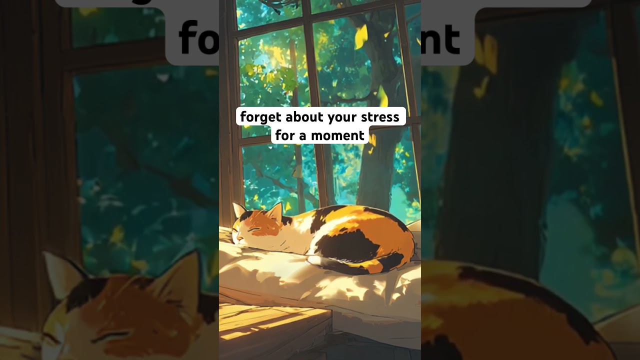 pov: take a break with this breathing exercise and lofi #shorts