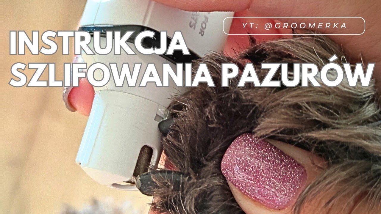 Szlifowanie pazurków psa, profesjonalny groomer.