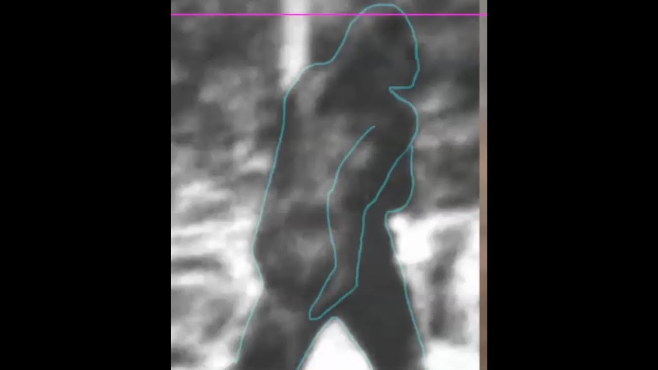 You think Bigfoot is a hoax? Explain this. (ThinkerThunker)
