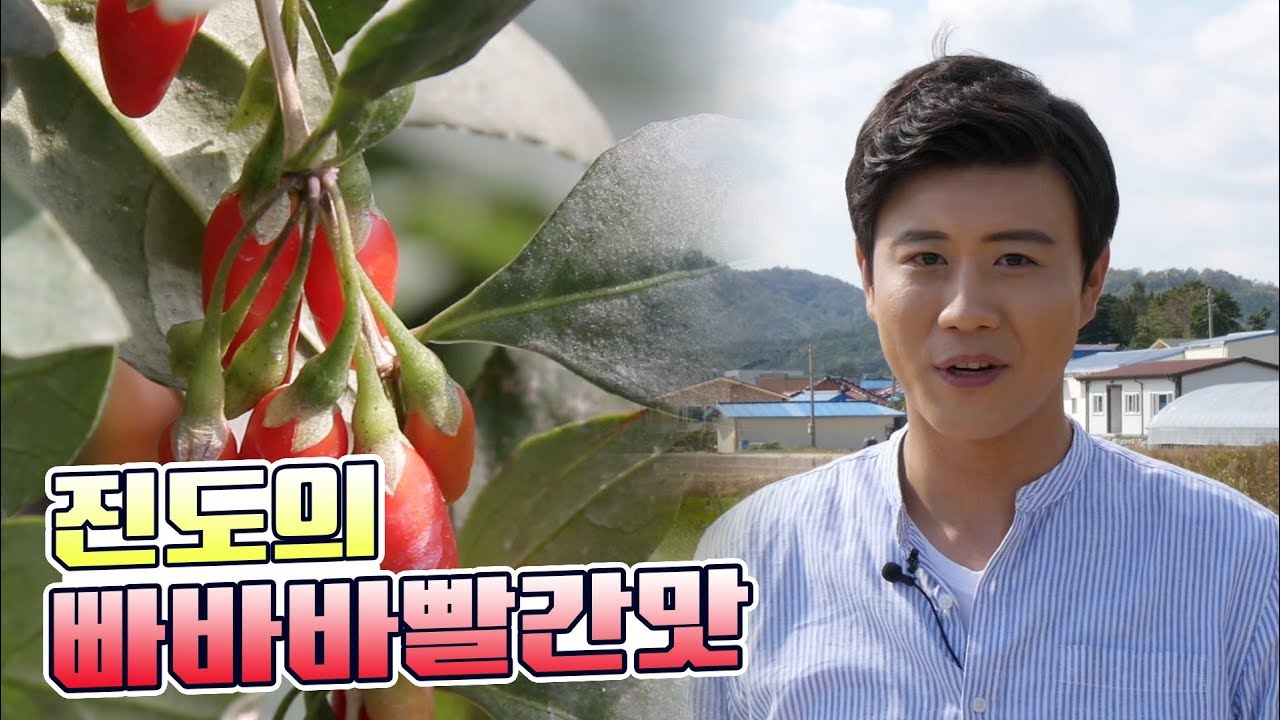 진해성 왕자가 리포터였어? 인물 좋코 말이 술술 나오니 방송도 딱이네!!  진해성이 혼자 다 한 방송 #진해성 노래 진해성 진행