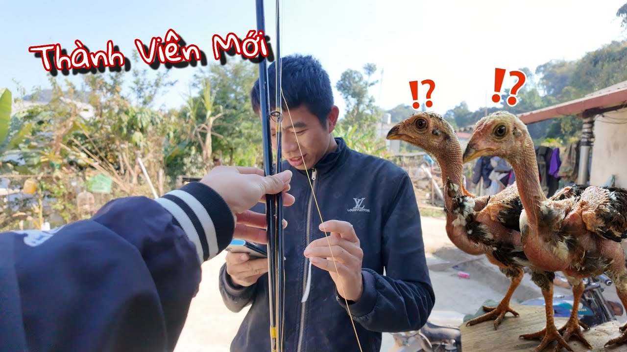 Mua Thêm Gà Nòi Và Tìm Lại Bé Chim Chèo Bẻo | Dân Tộc Tây Bắc Tv