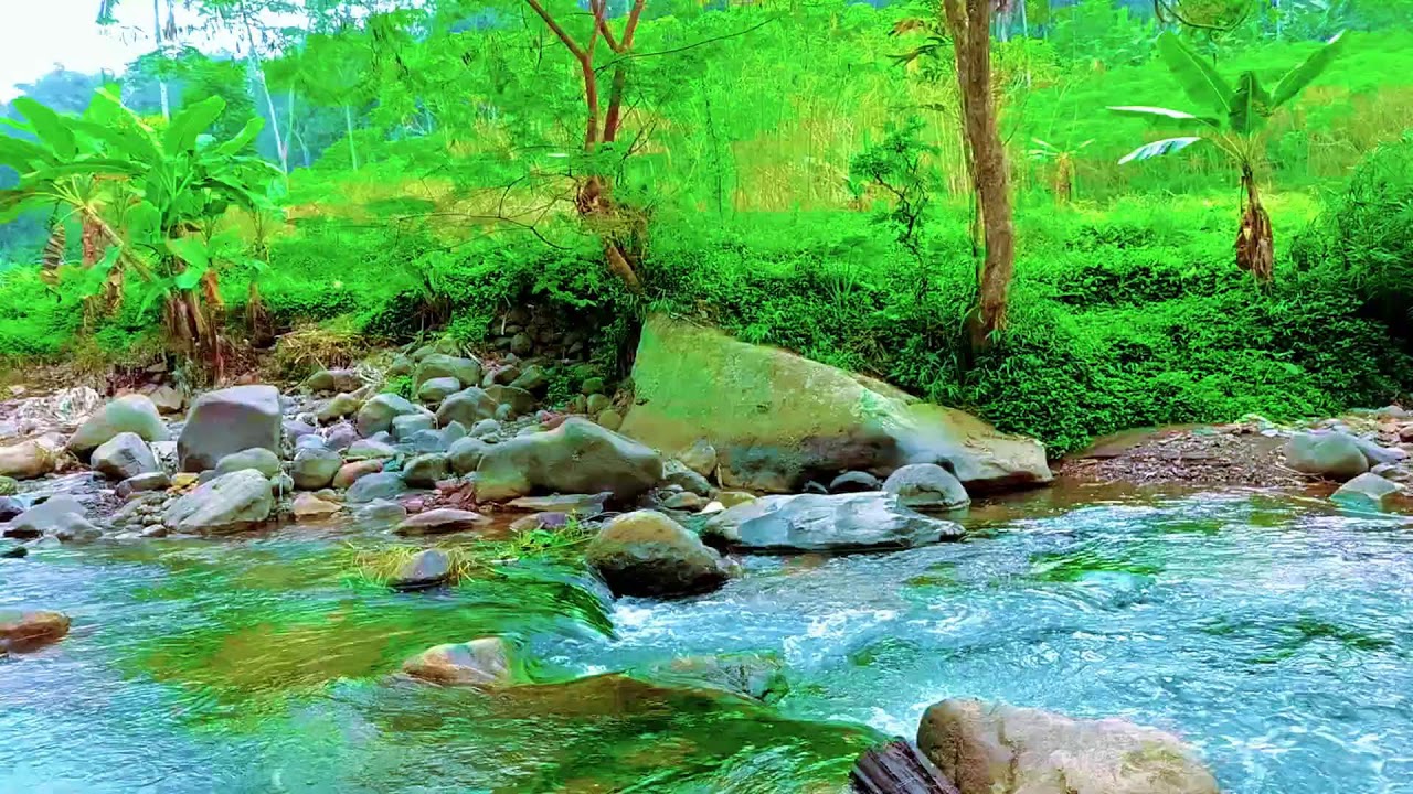 Peaceful Flowing River White Noise for Insomnia and Better Sleep