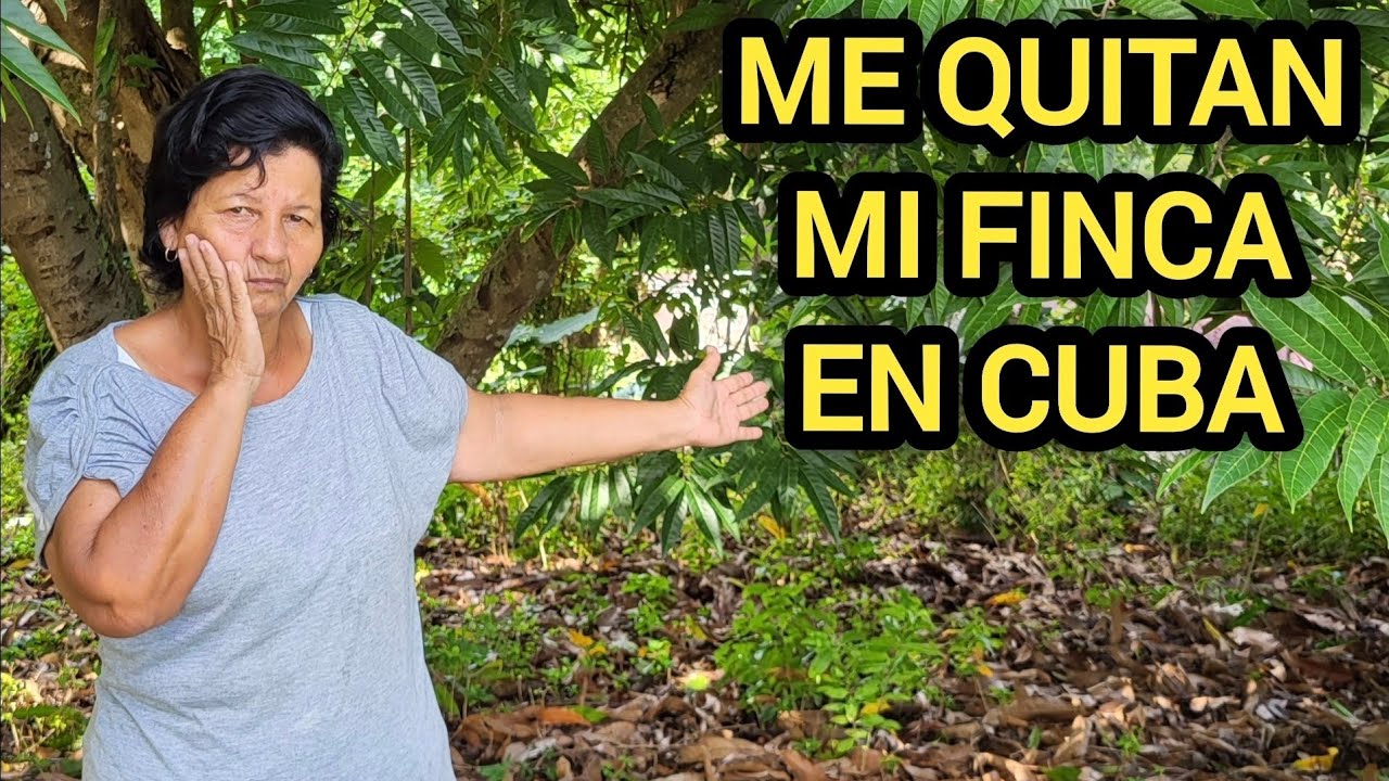 Mujeres cubanas indefensas fueron víctimas del robo de sus tierras.  