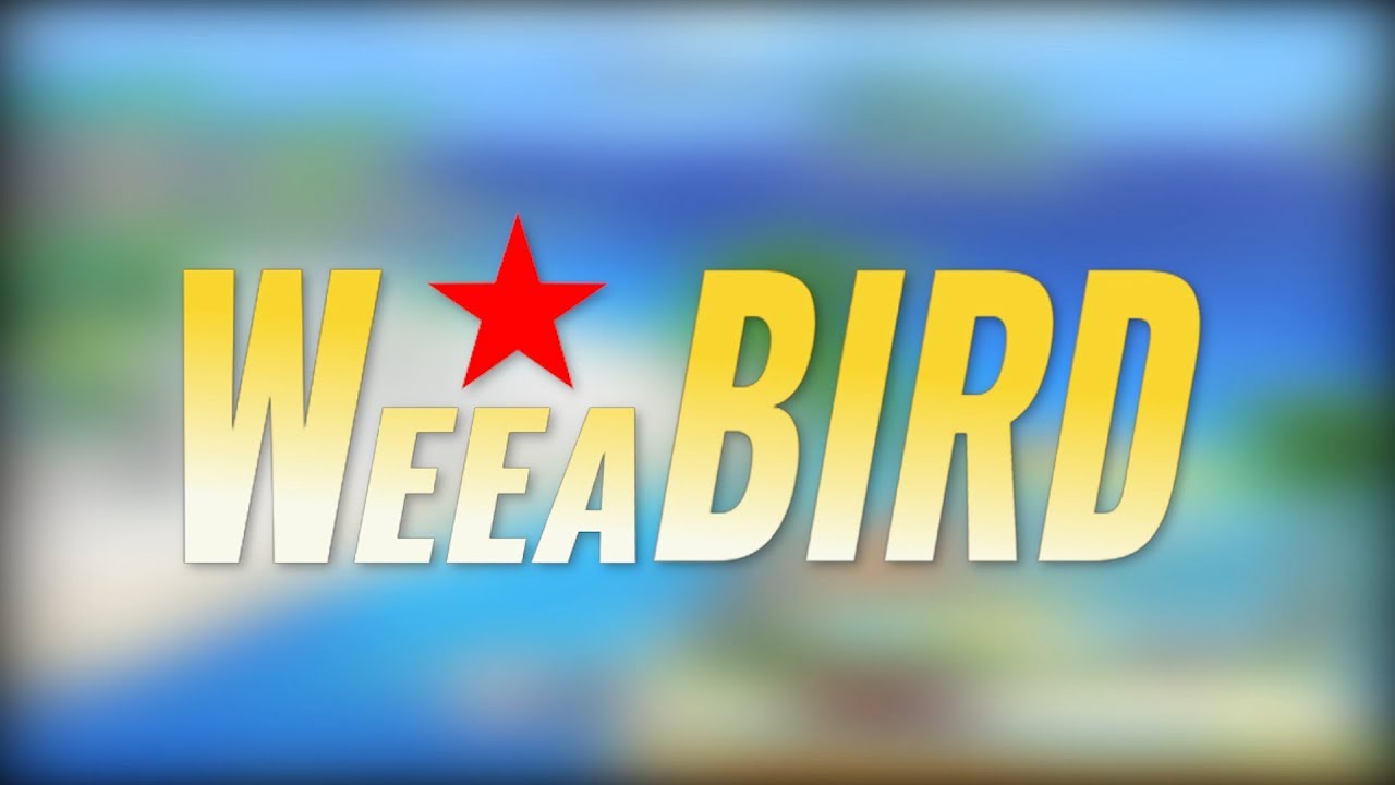 WEEABIRD - A Project M Dedede Combo Video
