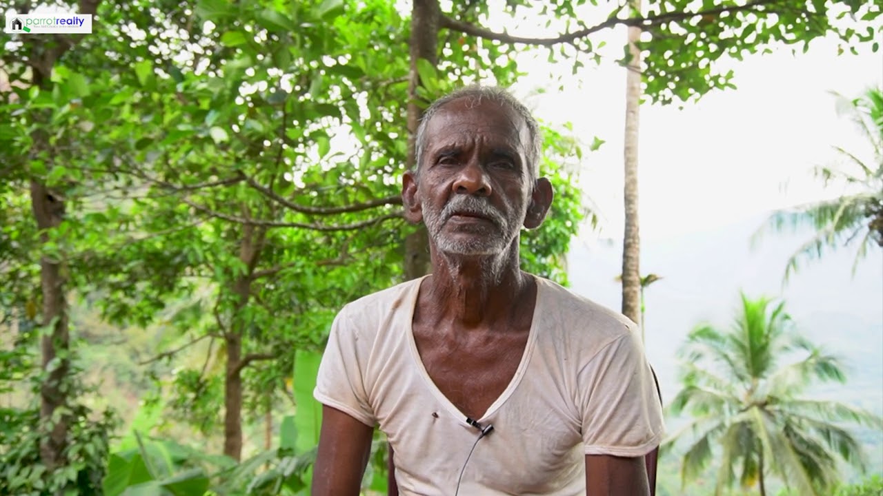 About Palukachimala