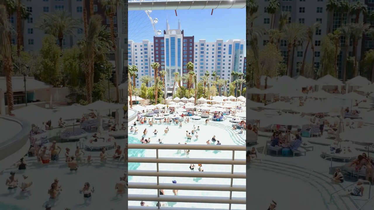 Flamingo Go Pool 2025 In the mix every Monday 12p-5p #vegas #lasvegas #flamingo