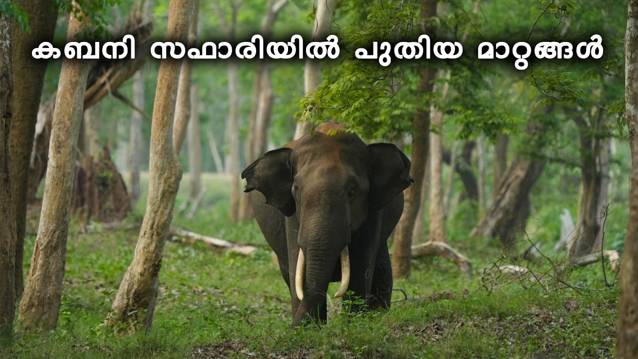 കബനി ചതിച്ചു ...Safari charges increased