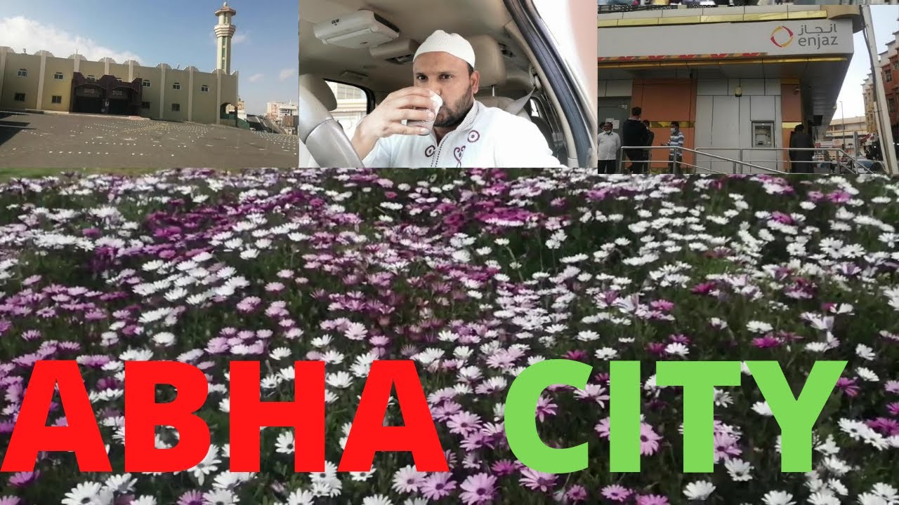 Abha city