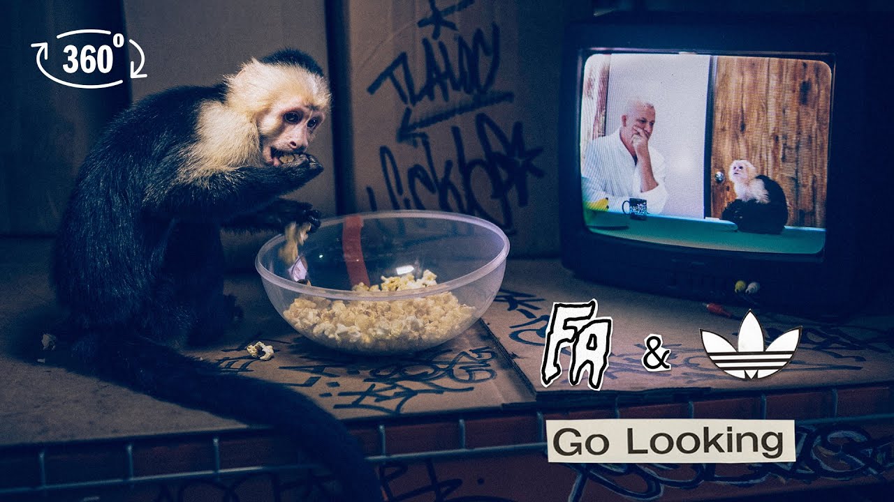 adidas Skateboarding /// FA World Entertainment: Go Looking