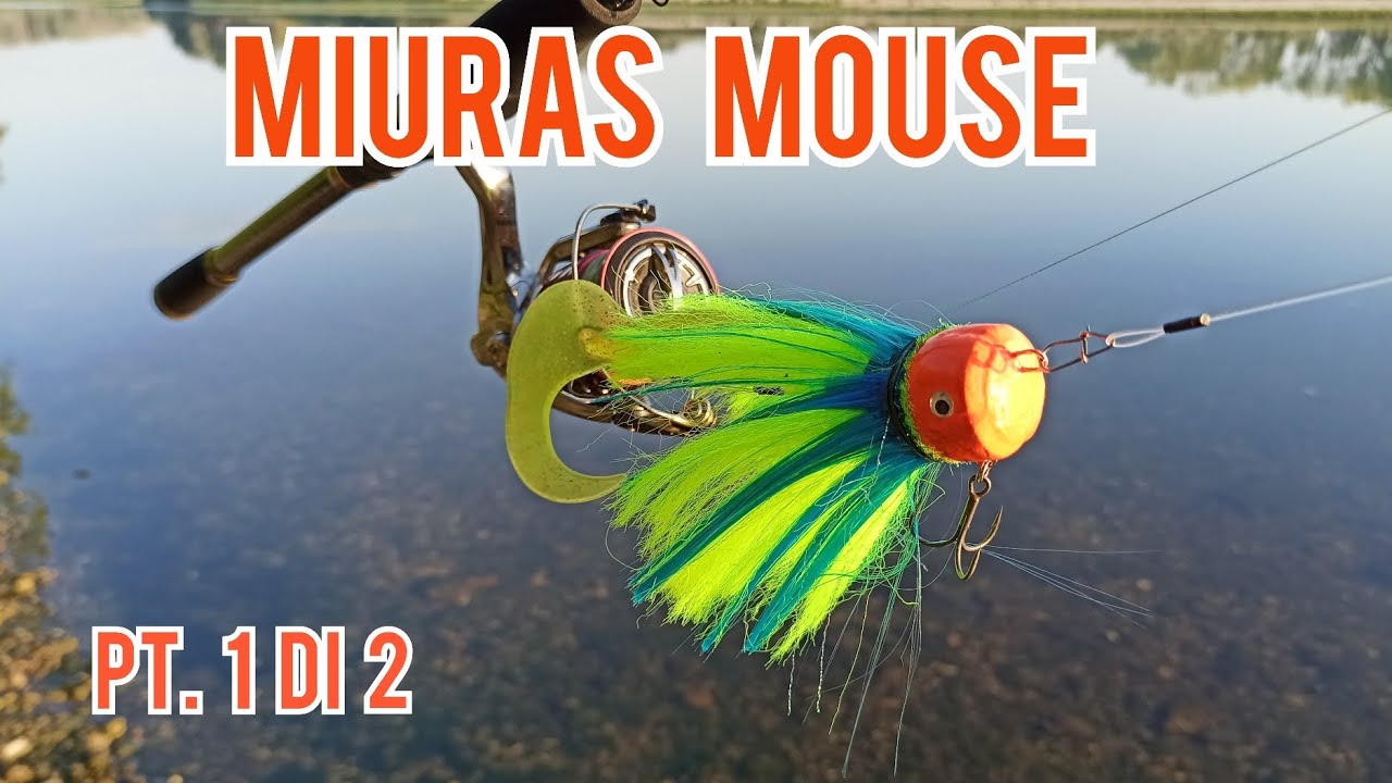 MIURAS MOUSE - dalla costruzione al test in acqua - pt.1 di 2