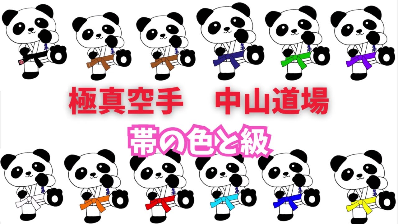 【超道場生向け】帯の色の一覧！！！
