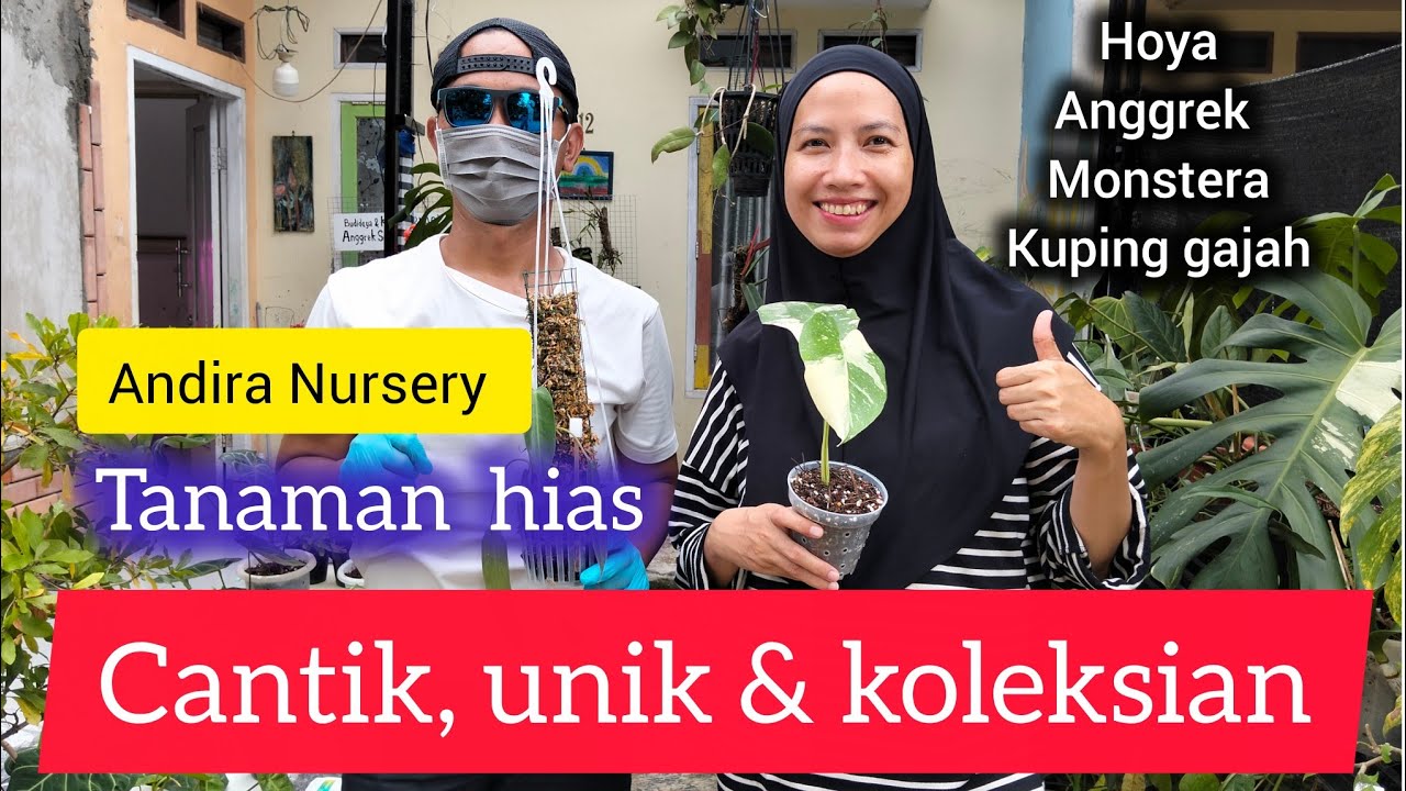 LIPUTAN PERDANA DI ANDIRA NURSERY 