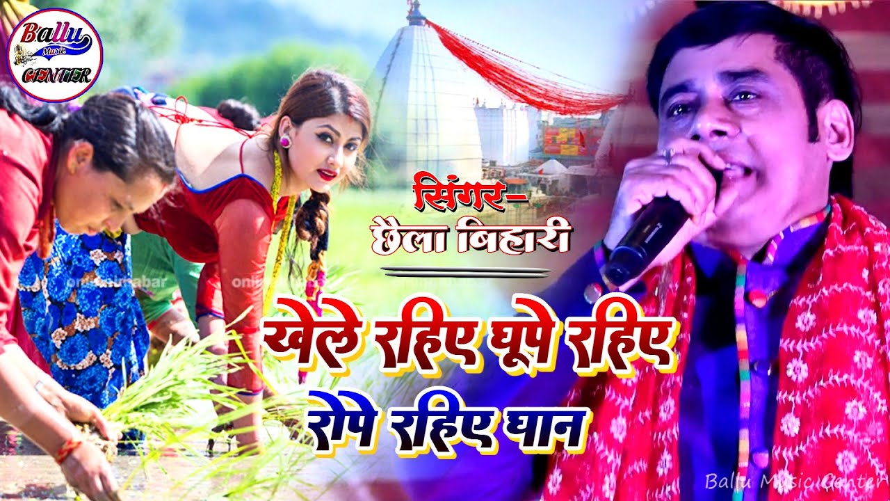खेले रहिए धुपे रहिए रोपे रहिए धान || Khele Rahiye Dhupe Rahiye || #Chhaila_Bihari #Bolbam_song